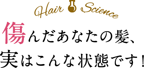 傷んだあなたの髪、実はこんな状態です！