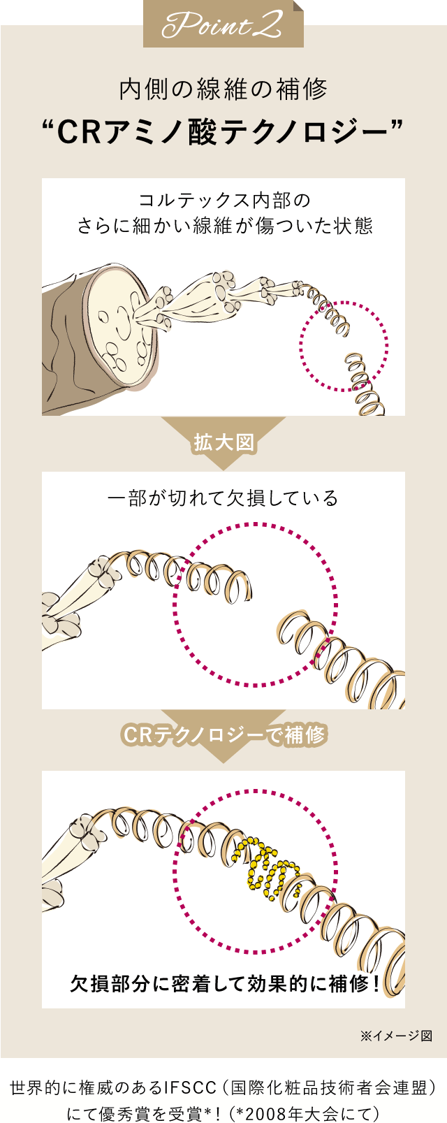 Point2 内側の線維の補修 “CRアミノ酸テクノロジー” コルテックス内部のさらに細かい繊維が傷ついた状態 一部が切れて欠損している CRテクノロジーで補修 欠損部分に密着して効果的に補修！世界的に権威のあるIFSCC（国際化粧品技術者会連盟）にて優秀賞を受賞*！（*2008年大会にて）