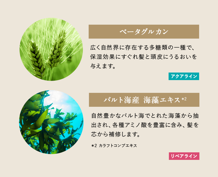 ベータグルカン 広く自然界に存在する多糖類の一種で、保湿効果にすぐれ髪と頭皮にうるおいを与えます。 アクアライン バルト海産 海藻エキス※2 自然豊かなバルト海でとれた海藻から抽出され、各種アミノ酸を豊富に含み、髪を芯から補修します。 ＊2 カラフトコンブエキス リペアライン