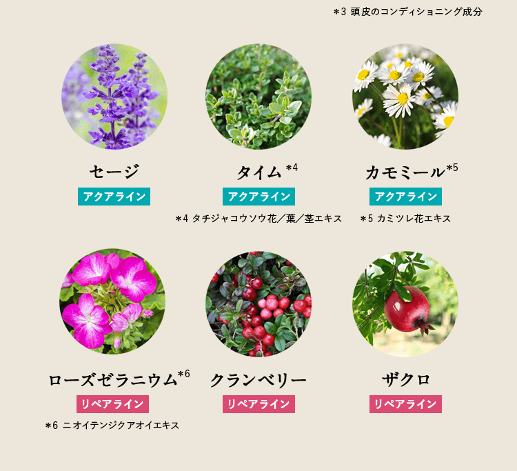 ＊3 頭皮のコンディショニング成分 セージ タイム※4 ＊4 タチジャコウソウ花／葉／茎エキス カモミール※5 ＊5 カミツレ花エキス ローズゼラニウム※6 ＊6 ニオイテンジクアオイエキス クランベリー ザクロ