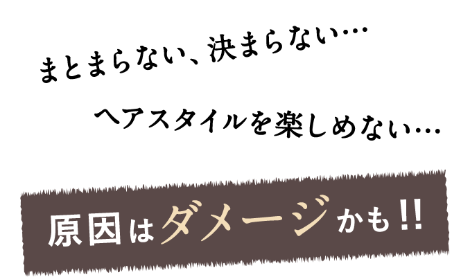 まとまらない、決まらない…ヘアスタイルを楽しめない…原因はダメージかも！！