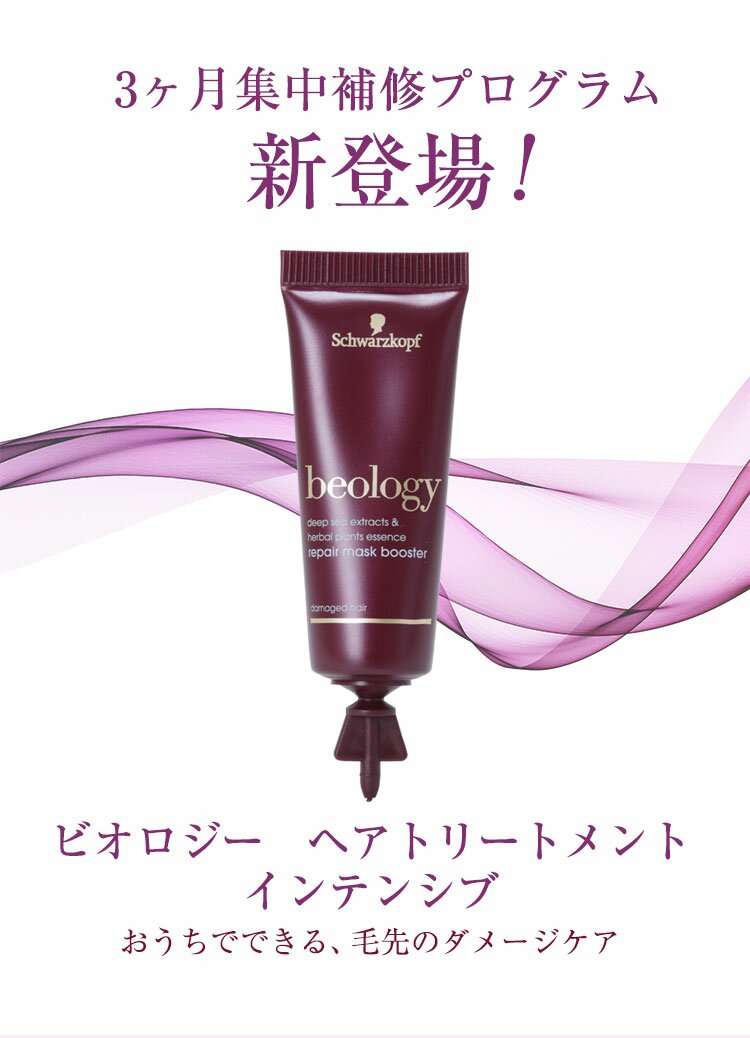 3ヶ月集中補修プログラム