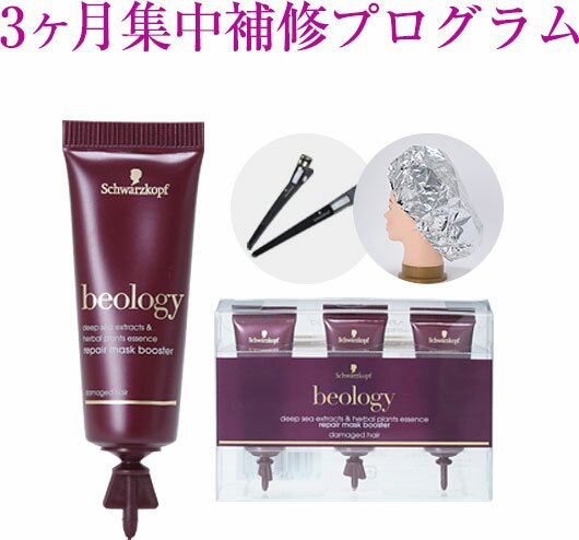 3ヶ月集中補修プログラム