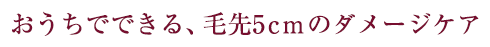おうちでできる、毛先5cmのダメージケア